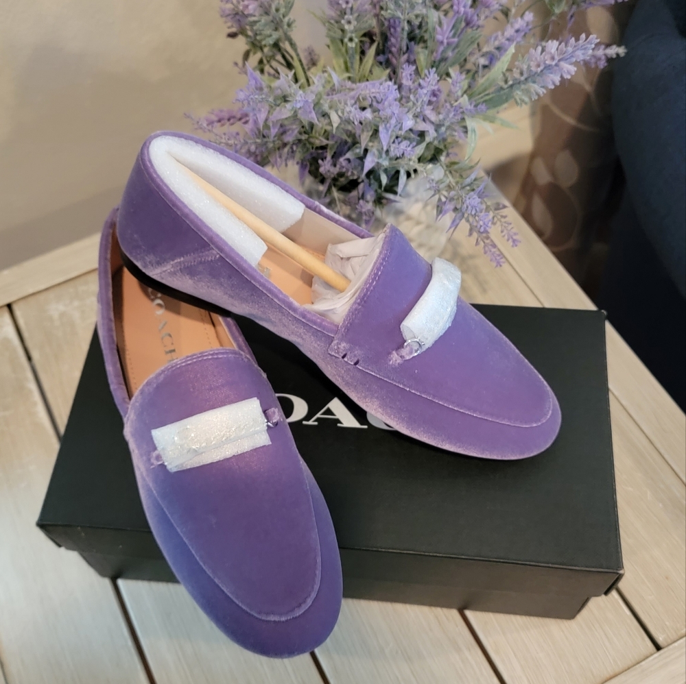 Coach Hanna velvet loafer
